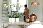 brussels diamond orchidee hoog 12,5cm wit